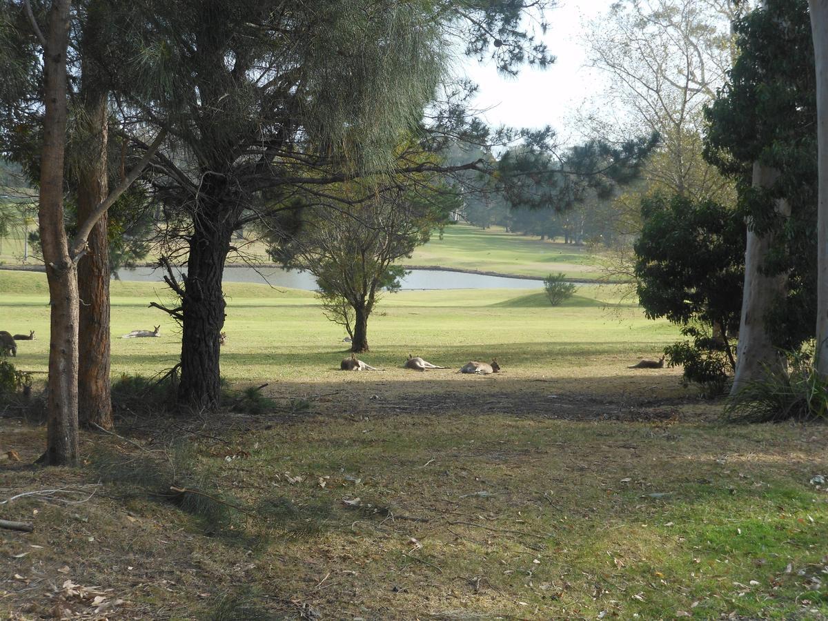 Golf View Motel Sanctuary Point Εξωτερικό φωτογραφία