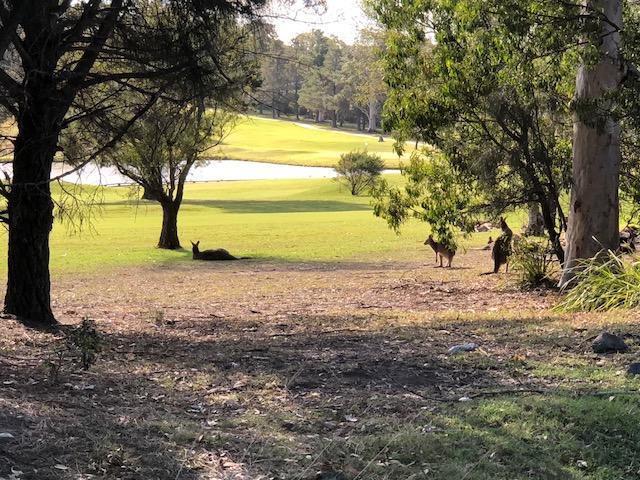 Golf View Motel Sanctuary Point Εξωτερικό φωτογραφία
